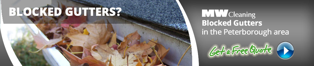 gutter cleaning services in Peterbrough